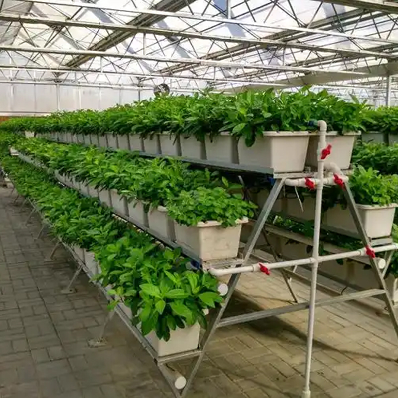 乌海市植物工厂植物工厂 - 价格